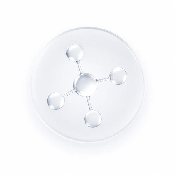 EpigenCur molecular technology